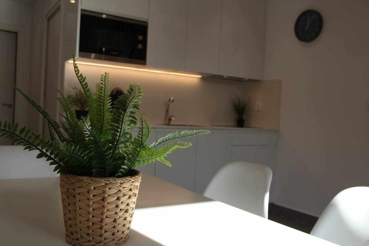 Apartamentos Rurales Patxillaborda Eki 莱索 外观 照片